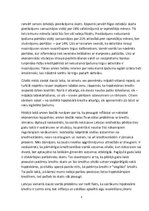 Referāts 'Kredītsaistības', 5.