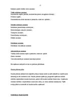 Prakses atskaite 'Profesionālās prakses pārskats ēdināšanas servisā. Kafejnīca "Pie Jānīša"', 16.