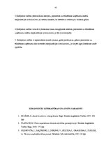 Prakses atskaite 'Profesionālās prakses pārskats ēdināšanas servisā. Kafejnīca "Pie Jānīša"', 41.