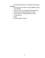 Referāts 'Ceļojums uz Cesvaini', 9.