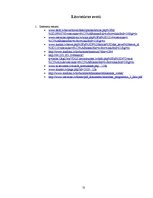 Referāts 'Ceļojums uz Cesvaini', 13.