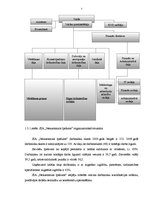 Prakses atskaite 'Finanšu analīze', 7.