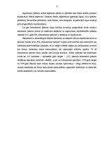 Prakses atskaite 'Finanšu analīze', 11.