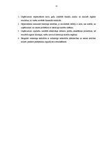 Prakses atskaite 'Finanšu analīze', 33.