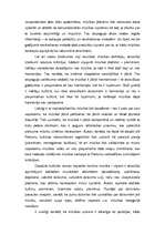 Konspekts 'Kas ir mūzika?', 3.