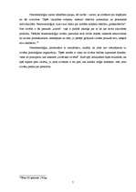 Referāts 'Fenomenoloģija', 7.