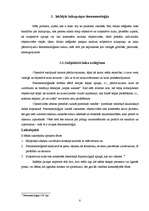 Referāts 'Fenomenoloģija', 8.