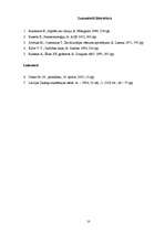 Referāts 'Fenomenoloģija', 10.