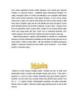 Referāts 'Ungārija', 8.