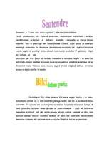 Referāts 'Ungārija', 9.