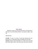 Referāts 'Ungārija', 12.