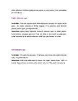 Referāts 'Ungārija', 13.