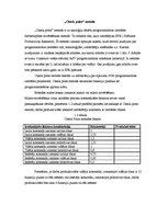 Diplomdarbs 'Cocomo metodes lietojums IT projektu darbietilpības novērtējumam', 13.