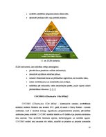 Diplomdarbs 'Cocomo metodes lietojums IT projektu darbietilpības novērtējumam', 18.