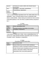 Diplomdarbs 'Cocomo metodes lietojums IT projektu darbietilpības novērtējumam', 53.