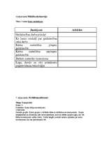 Konspekts 'Amatniecības stundu plāni', 4.