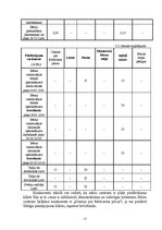 Biznesa plāns 'Bērnu pieskatīšanas centrs', 13.