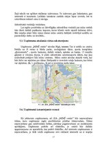 Biznesa plāns 'Bērnu pieskatīšanas centrs', 17.