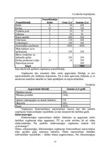 Biznesa plāns 'Bērnu pieskatīšanas centrs', 19.