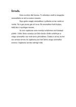 Prakses atskaite 'Tehniskā servisa organizācija. Smago automašīnu motoru remonts', 3.