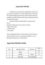 Prakses atskaite 'Tehniskā servisa organizācija. Smago automašīnu motoru remonts', 9.