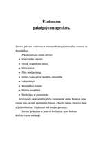 Prakses atskaite 'Tehniskā servisa organizācija. Smago automašīnu motoru remonts', 13.