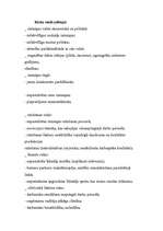 Prakses atskaite 'Tehniskā servisa organizācija. Smago automašīnu motoru remonts', 21.