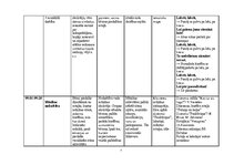 Konspekts 'Dienas izvērsts plānojums', 7.