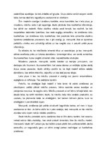 Referāts 'Kognitīvā mācību modeļa analīze', 6.