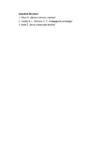 Referāts 'Kognitīvā mācību modeļa analīze', 7.