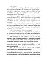 Biznesa plāns 'Viesnīcas attīstības projekts', 29.