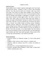 Referāts 'Ilonas Leimanes romāns "Vilkaču mantiniece"', 6.