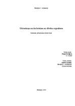 Referāts 'Ultraskaņa un tās ietekme uz cilvēka organismu', 1.