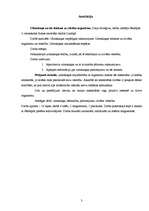 Referāts 'Ultraskaņa un tās ietekme uz cilvēka organismu', 3.