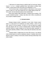 Referāts 'Ultraskaņa un tās ietekme uz cilvēka organismu', 9.