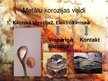 Prezentācija 'Metālu korozija', 3.