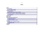 Referāts 'Reklāmas kampaņas izveide veikalu tīklam SIA "Salmo"', 2.