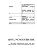 Referāts 'Reklāmas kampaņas izveide veikalu tīklam SIA "Salmo"', 9.