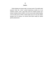 Referāts 'Reklāmas kampaņas izveide veikalu tīklam SIA "Salmo"', 14.