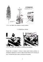Referāts 'Skābo lietu ietekme uz apkārtējo vidi', 9.