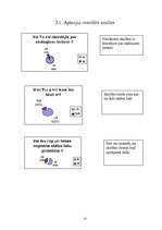 Referāts 'Skābo lietu ietekme uz apkārtējo vidi', 13.