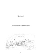 Referāts 'Skābo lietu ietekme uz apkārtējo vidi', 17.