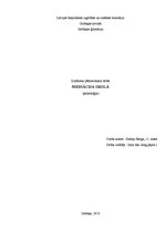 Referāts 'Mediācija', 1.