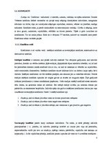 Referāts 'Mediācija', 6.