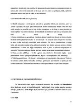 Referāts 'Mediācija', 13.