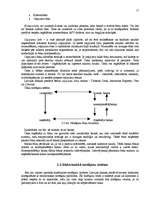 Referāts 'Norēķini starptautiskajā tirdzniecībā', 17.