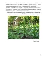 Referāts 'Ūdenspīpe ir nekaitīga - mīts vai realitāte', 10.