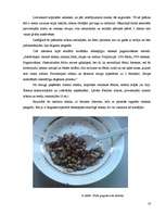 Referāts 'Ūdenspīpe ir nekaitīga - mīts vai realitāte', 18.