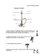 Referāts 'Ūdenspīpe ir nekaitīga - mīts vai realitāte', 24.