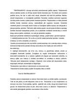 Referāts 'Temperaments. Četru tipu salīdzinājums', 2.